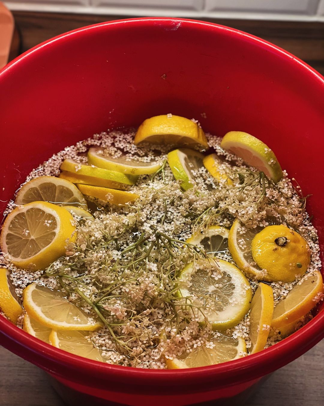 Flädersaft